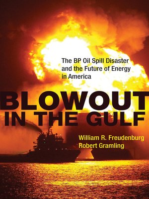 cover image of Blowout in the Gulf